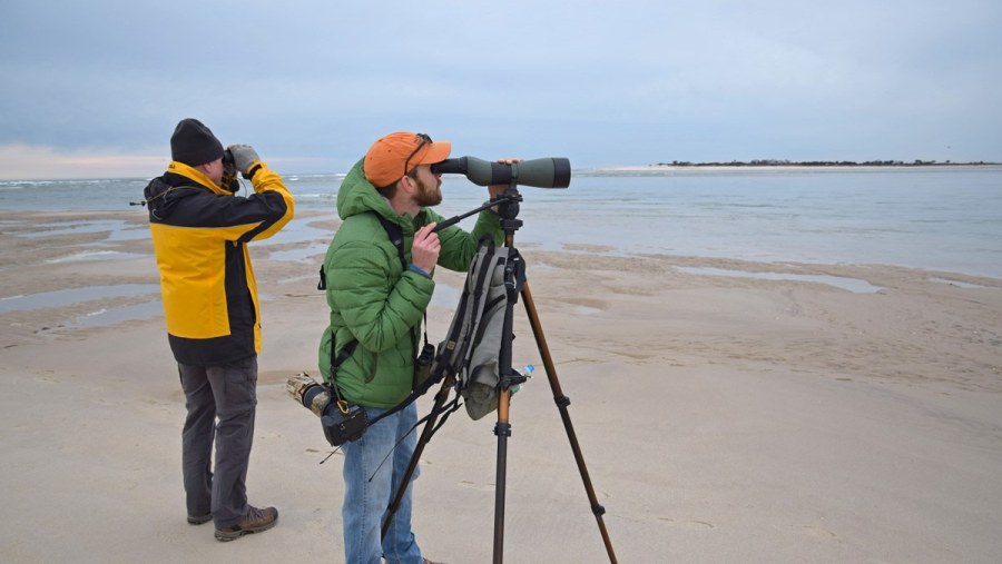 Bird-watching in Oman