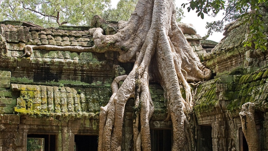 Temple of Tomb Raider, Siem Reap, Cambodia