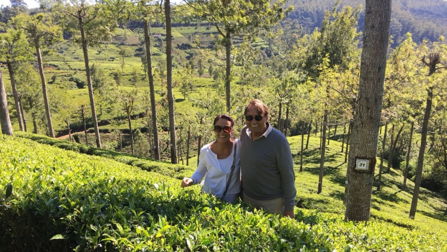 Tea Plantation in Sri Lanka