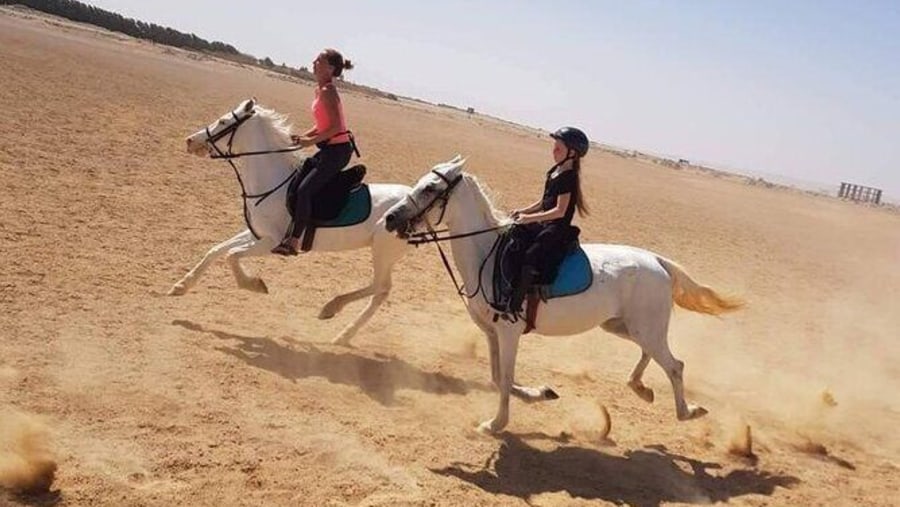 Horse Riding in Hurghada