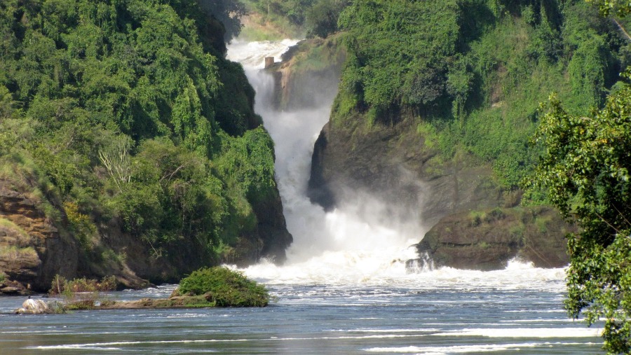 Admire the Murchison Falls