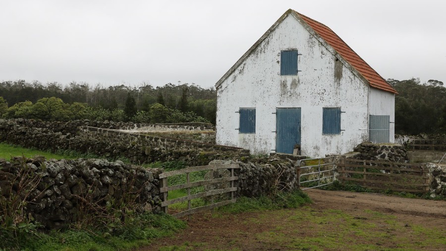 Delight in the rustic charm of rural Terceira