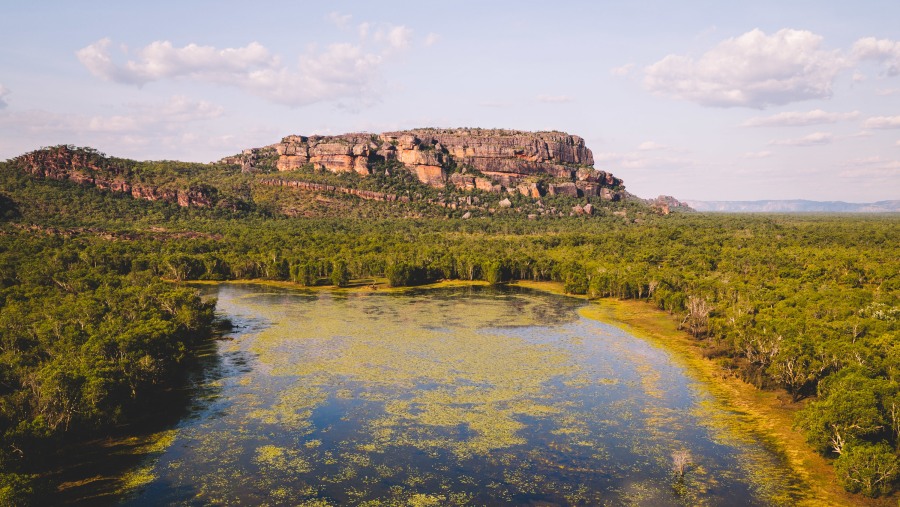 NT Driver Guide - Nourlangie Rock, Tour Darwin