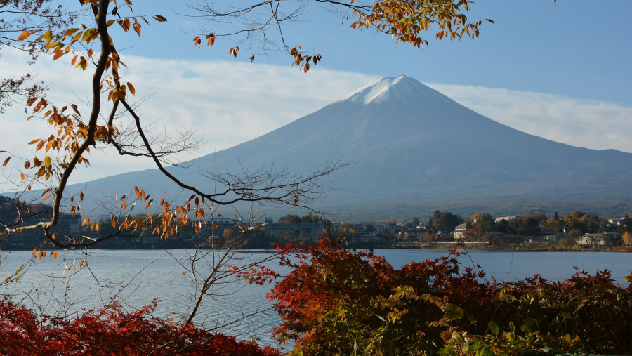 Lake Kawaguchi and Mt. Fuji
