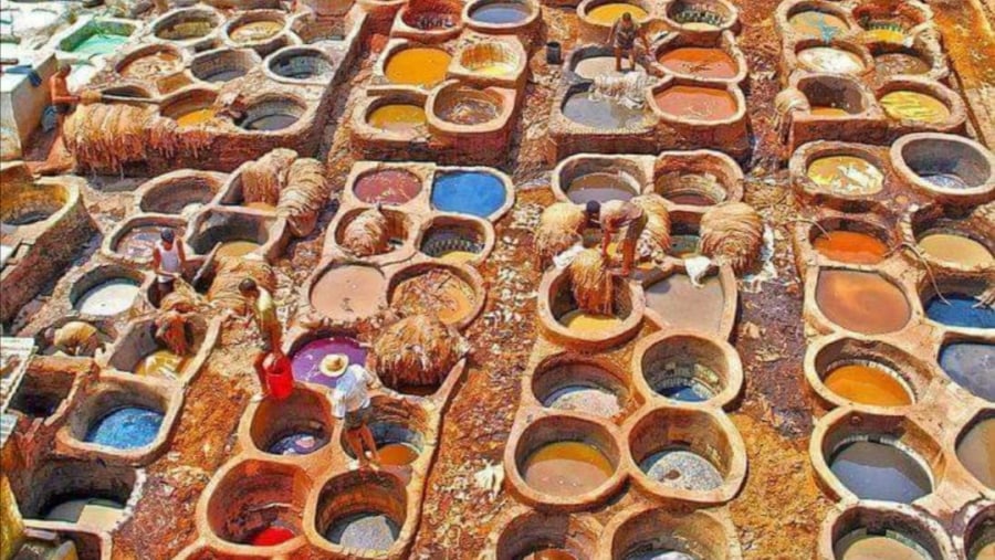 Leather Tanneries