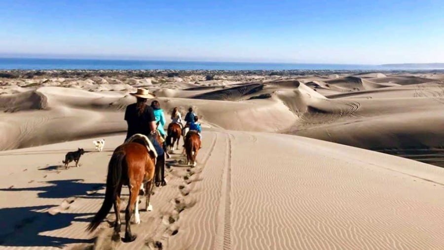Horse Riding Among the Sand Dunes