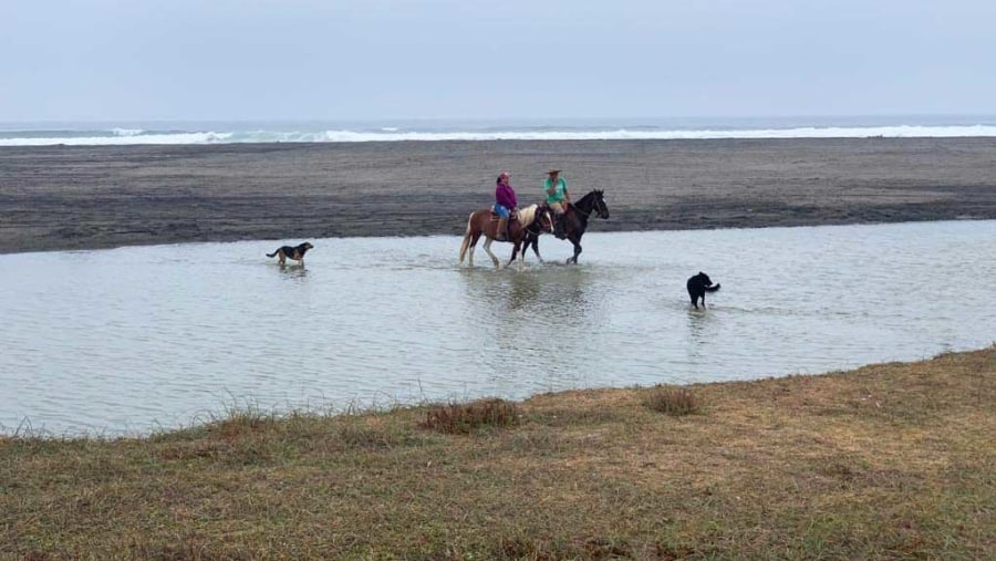 Horse Riding on the Beach