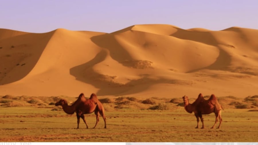 Gobi Desert