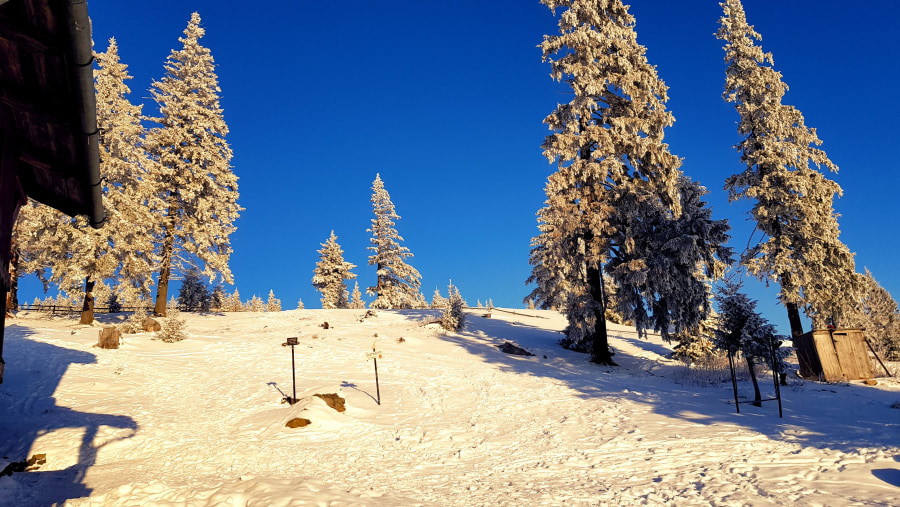 Snow covered mountains