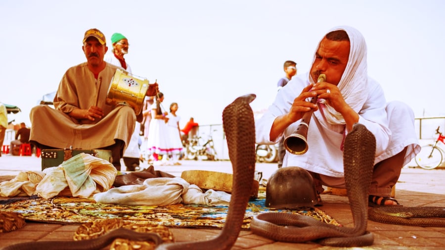 Snake charmers Marrakech