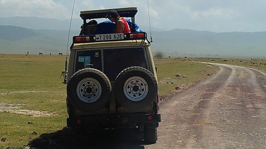 Safari Vehicle