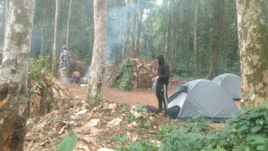 Camping in the forest