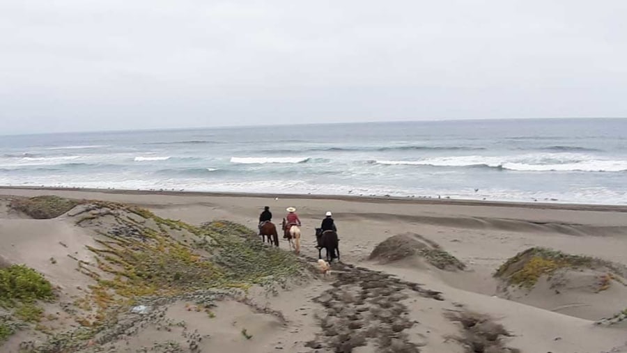 Horse-riding along the beach