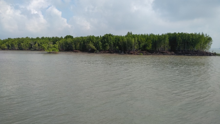 Sail through Mangrove Swamps to Crab Island