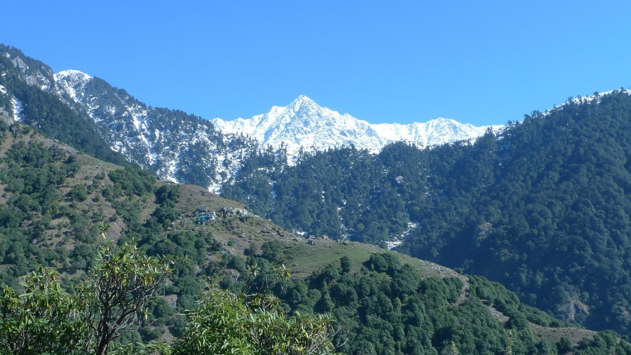 Take in the views of the Dhauladhar ranges