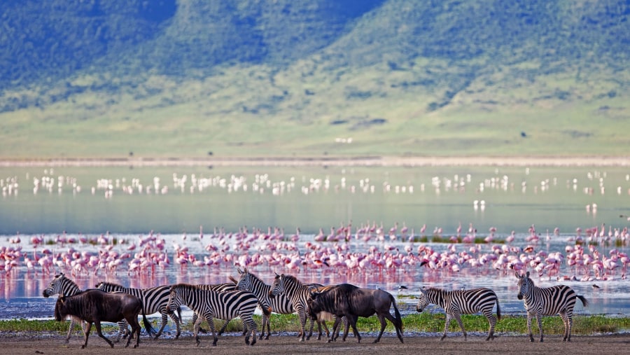 National Park Lake Manyara