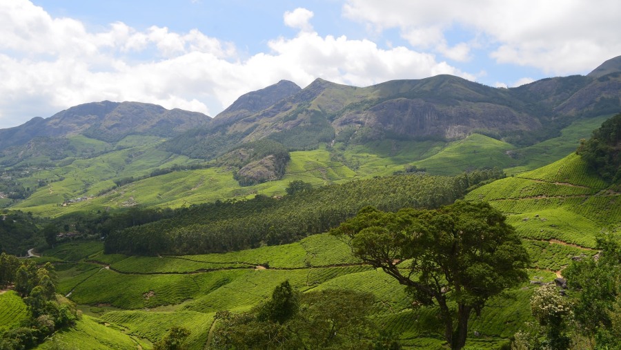 Marvel at Hills of the Western Ghats