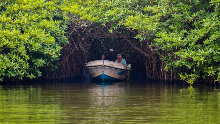 Boat ride on Madu River