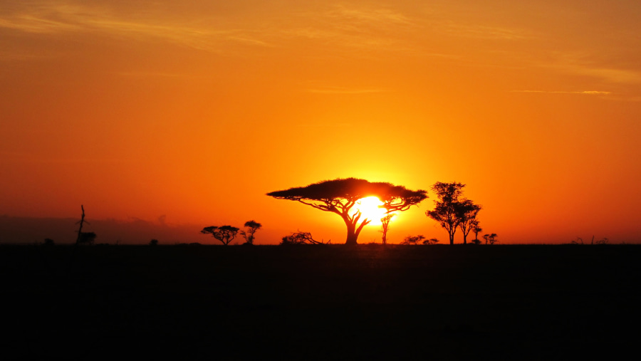 Sunset at Serengeti