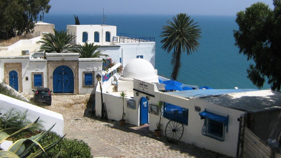 Sidi bou said