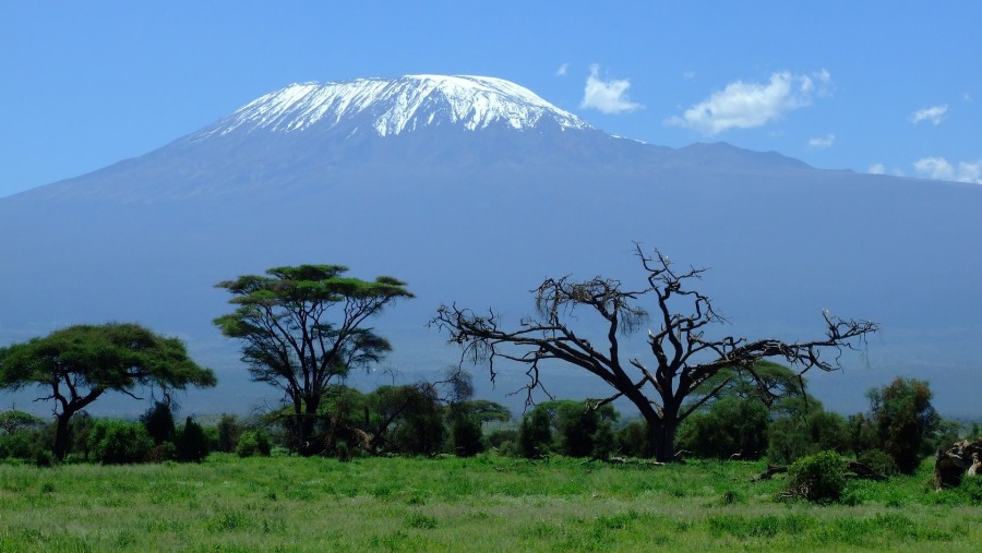Admire a Stunning View of Mount Kilimanjaro