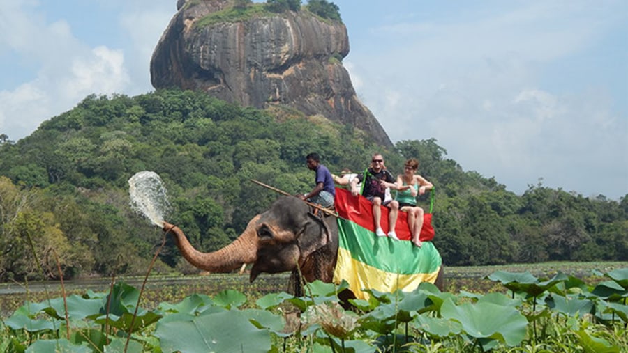 Tourists enjoying elephant ride