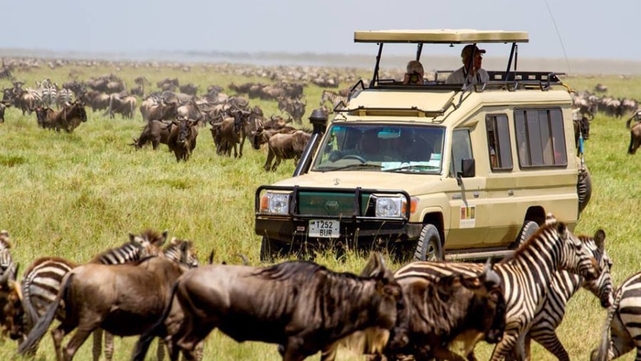 Embark on an Adventurous Game Drive at Lake Manyara National Park