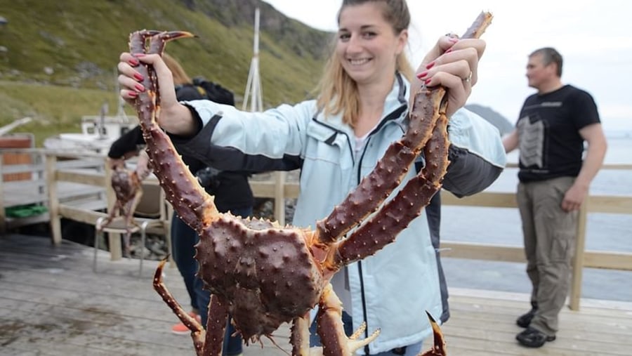 Catching King Crab