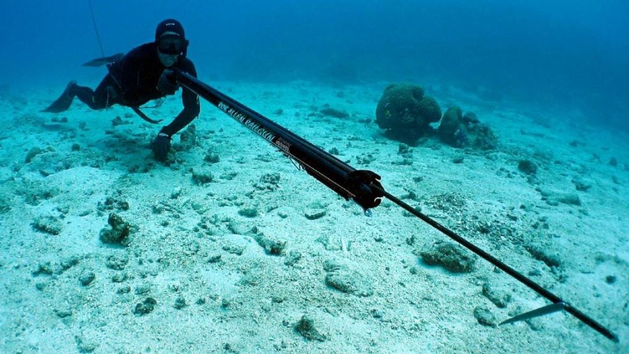 Spearfishing in Cancun