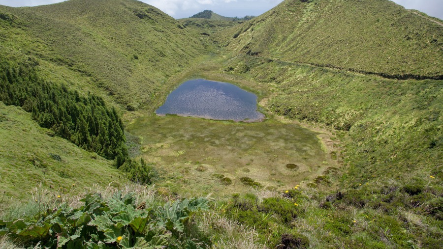 Visit a volcanic crater and fumaroles field in Terceira