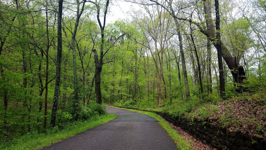 Percy Warner Park