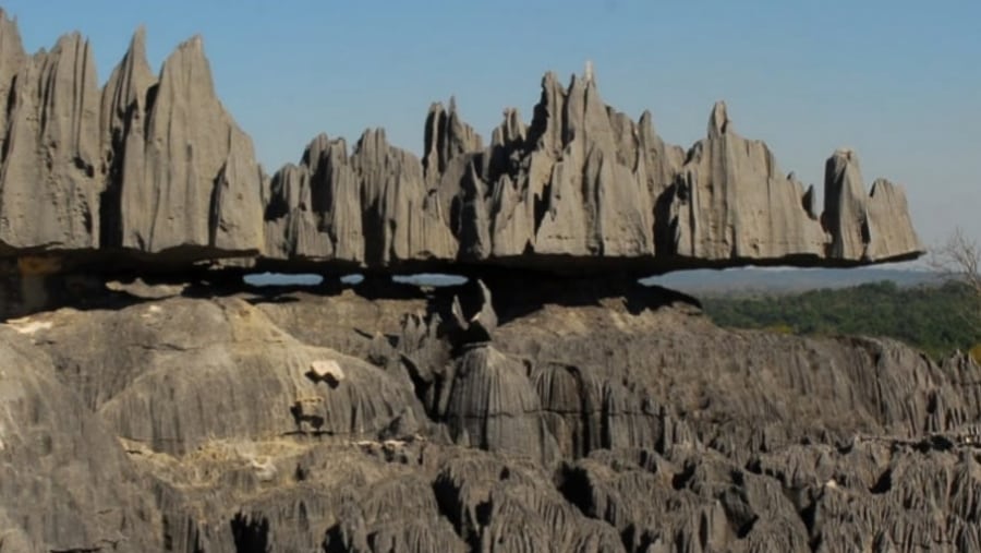 Tsingy Peaks Forest