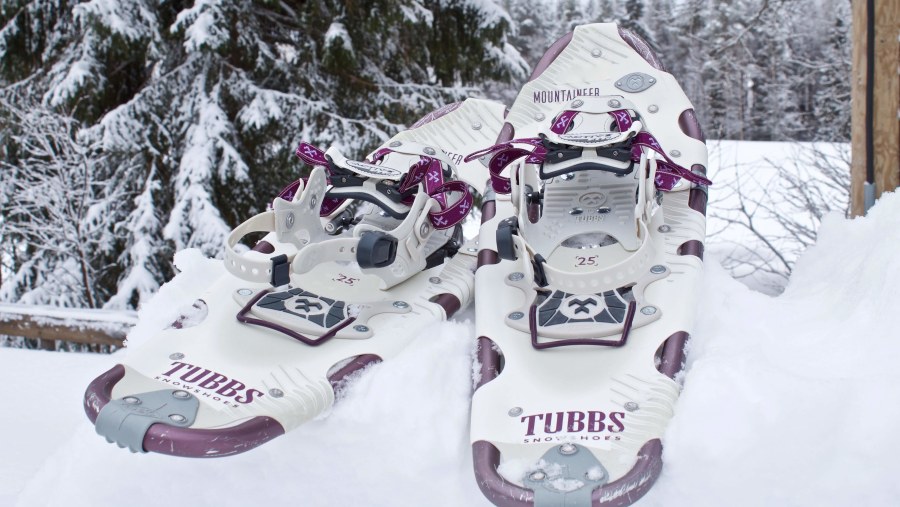 Pair of medium sized snowshoes.