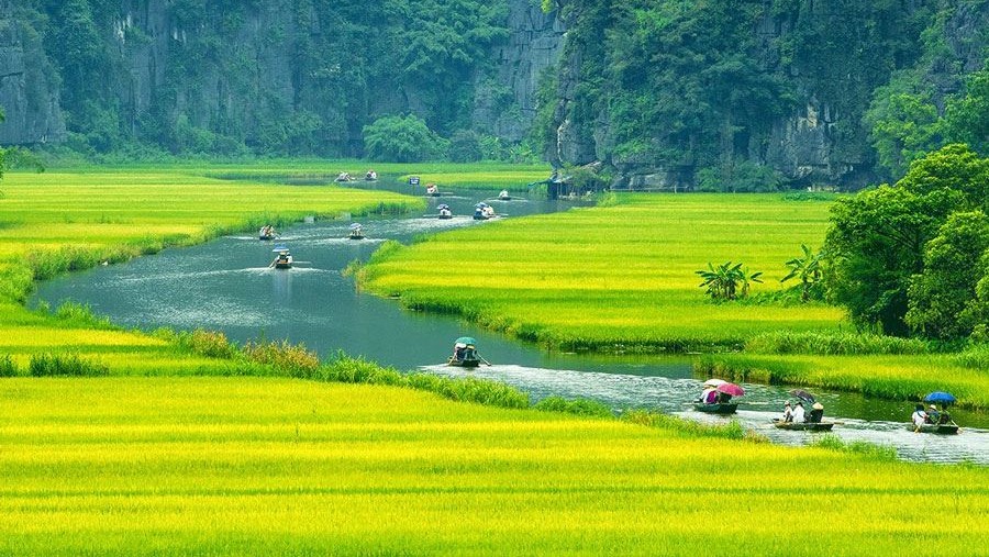 Take the rowing boat ride on Ngo Dong river