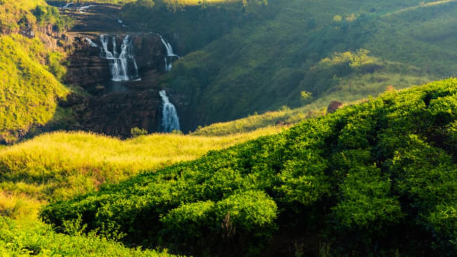 Sri Lanka