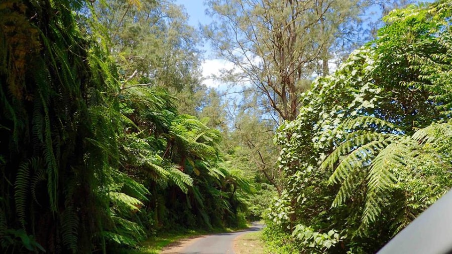 Entrance road to Kelimutu Lakes