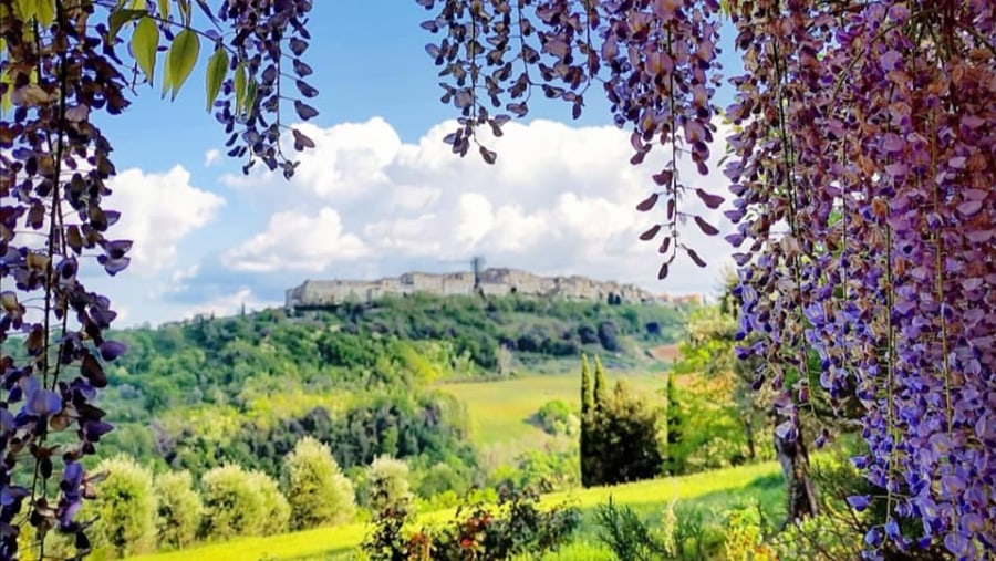 The Gardens Of Ninfa