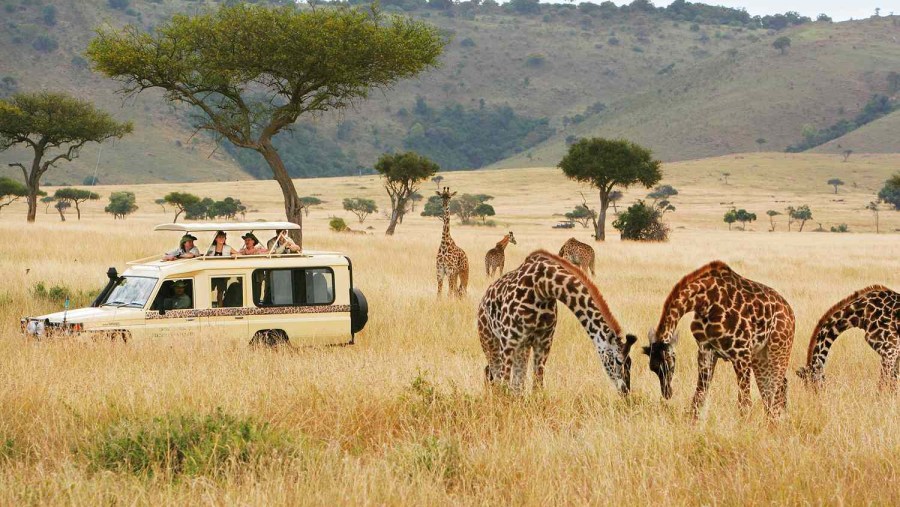 Maasai Mara National Reserve