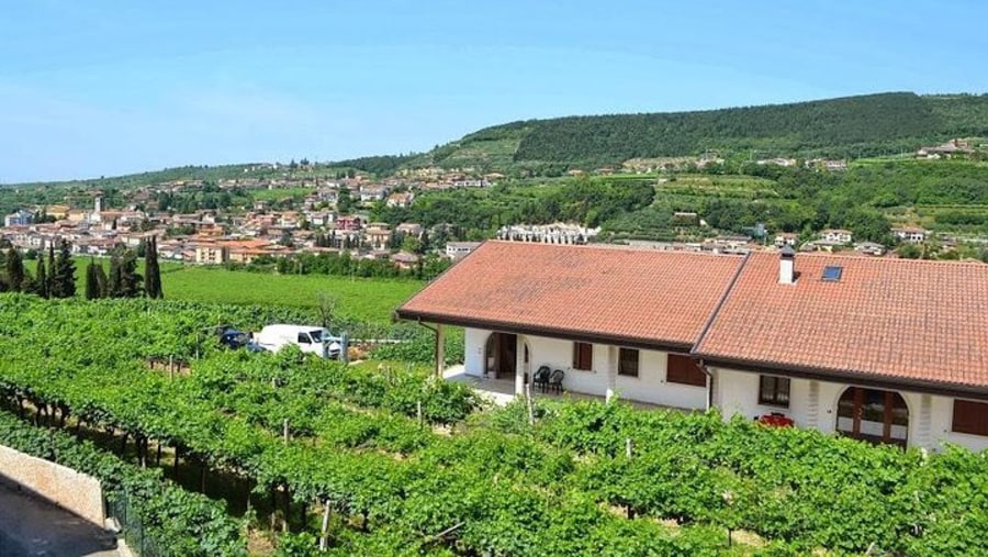 The Valpolicella Region near Verona