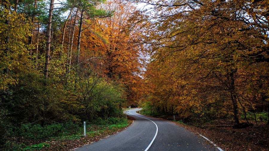 Travel through the majestic roads of Tbilisi