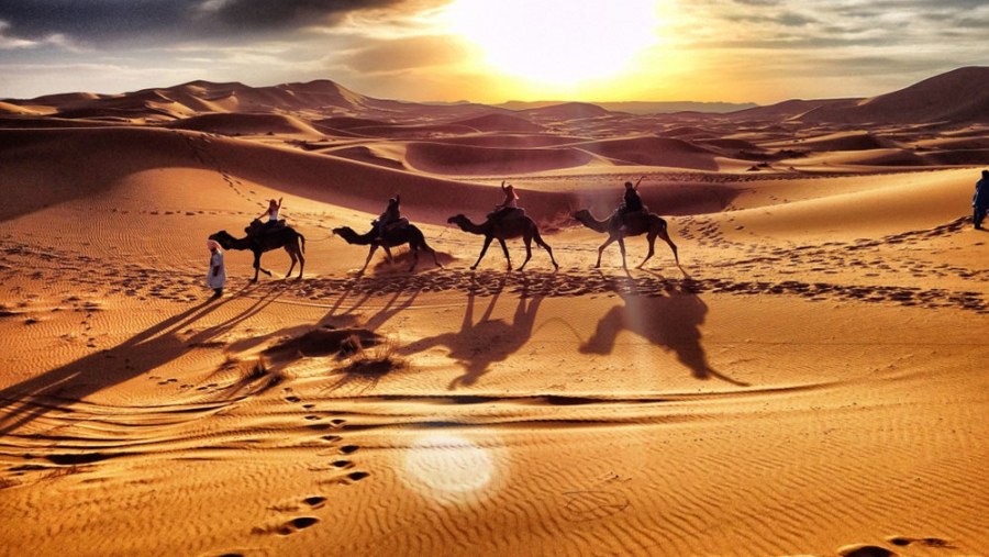 Camel ride in Merzouga