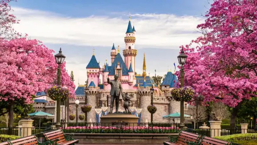 Transfer to Anaheim-Disneyland Resort