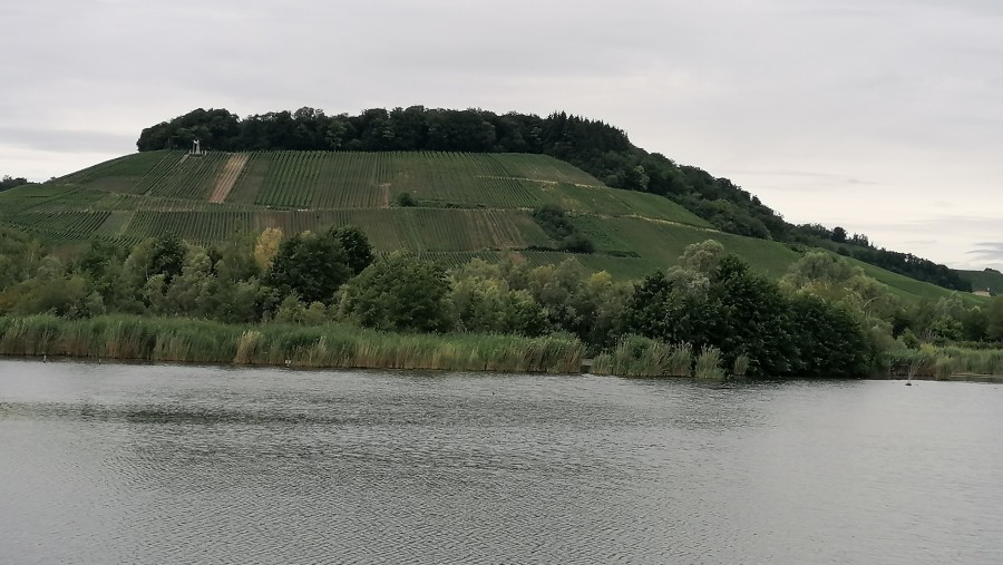 Vineyards from Wintrange