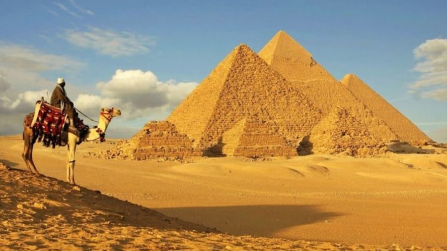 Admire the Pyramids of Giza