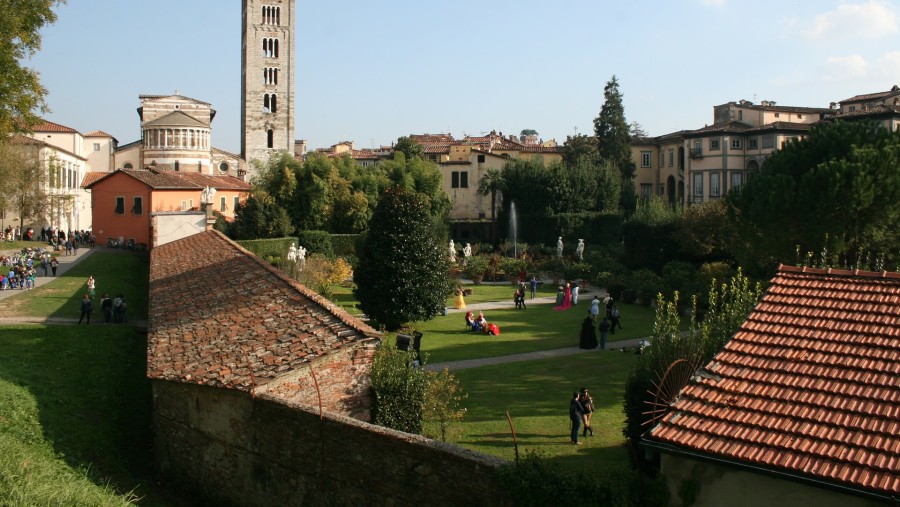 See Torre Guinigi in Lucca