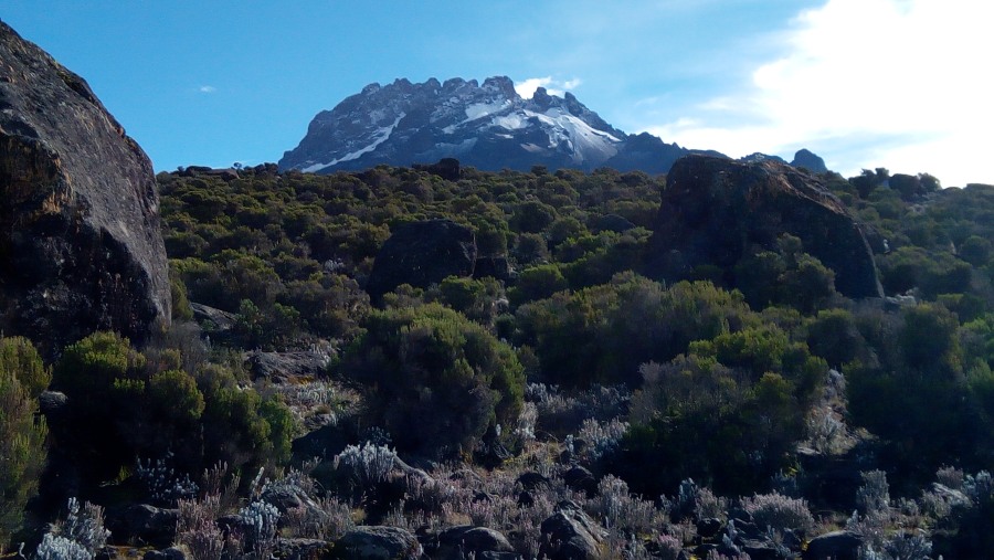 Mt. Kilimanjaro