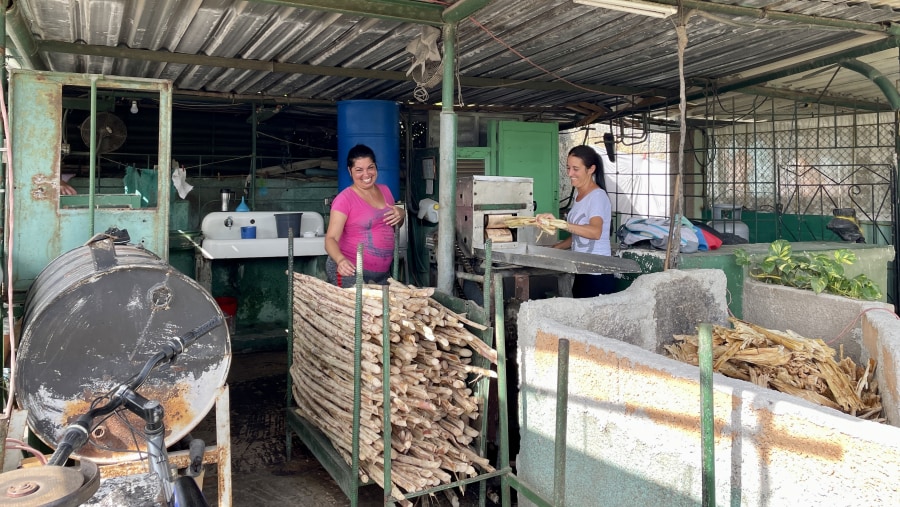 Cuban Market on the countryside