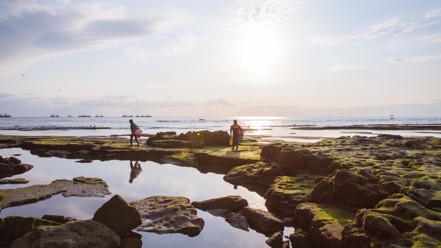 Travellers in Jeju