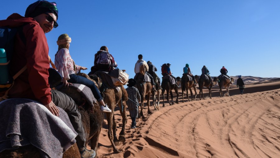 Camel caravan