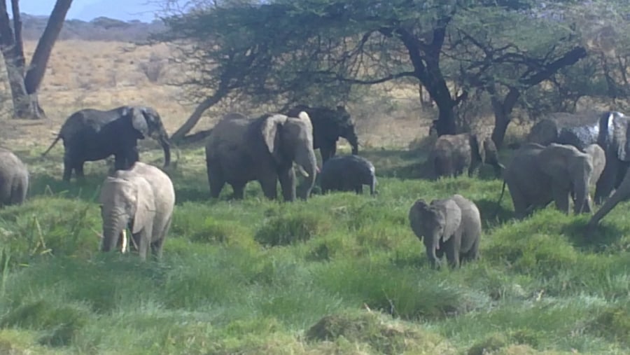 Samburu, Kenya